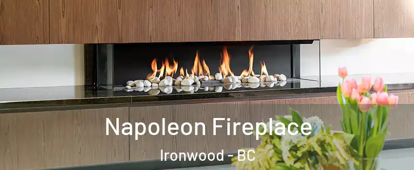  Napoleon Fireplace Ironwood - BC