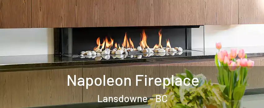  Napoleon Fireplace Lansdowne - BC