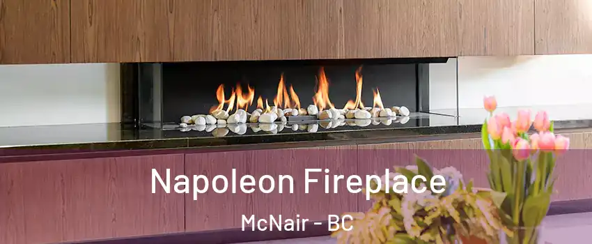  Napoleon Fireplace McNair - BC