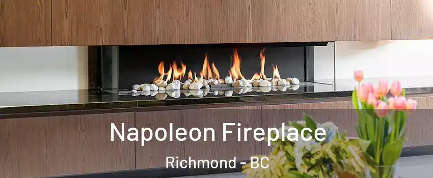  Napoleon Fireplace Richmond - BC