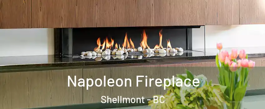  Napoleon Fireplace Shellmont - BC