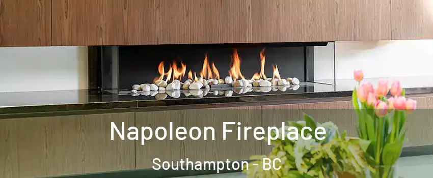  Napoleon Fireplace Southampton - BC