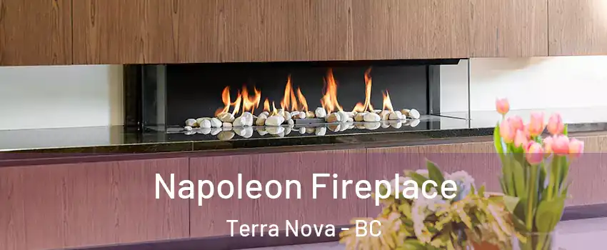 Napoleon Fireplace Terra Nova - BC
