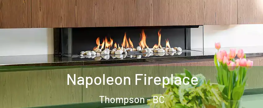  Napoleon Fireplace Thompson - BC