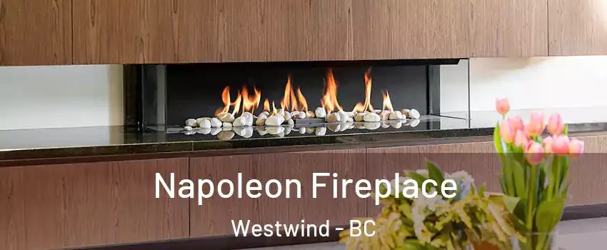  Napoleon Fireplace Westwind - BC