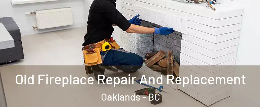  Old Fireplace Repair And Replacement Oaklands - BC