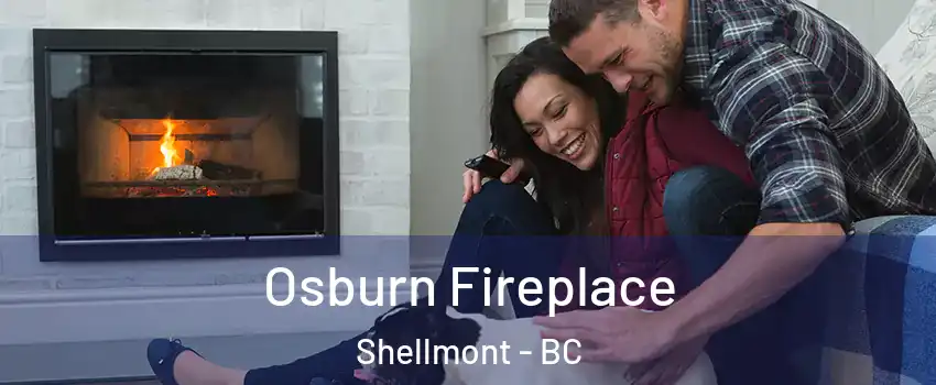 Osburn Fireplace Shellmont - BC