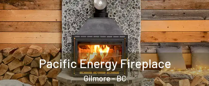  Pacific Energy Fireplace Gilmore - BC