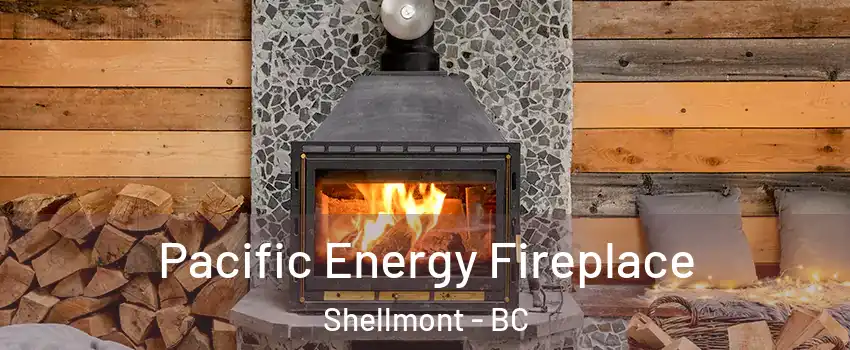  Pacific Energy Fireplace Shellmont - BC
