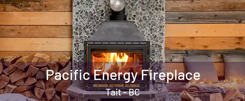  Pacific Energy Fireplace Tait - BC