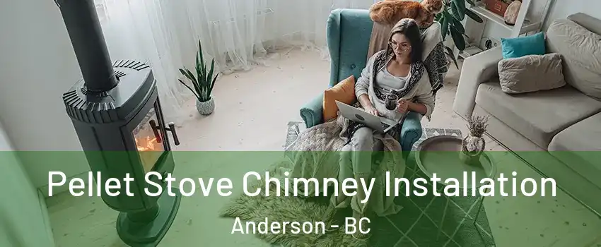  Pellet Stove Chimney Installation Anderson - BC