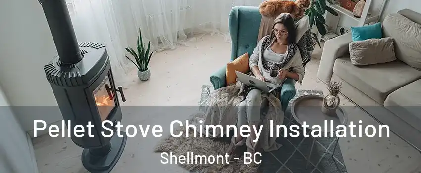  Pellet Stove Chimney Installation Shellmont - BC