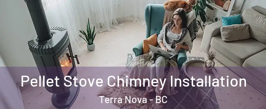  Pellet Stove Chimney Installation Terra Nova - BC