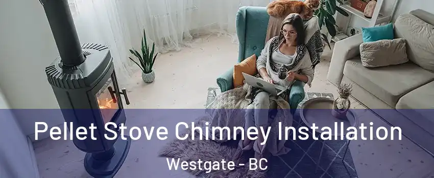  Pellet Stove Chimney Installation Westgate - BC