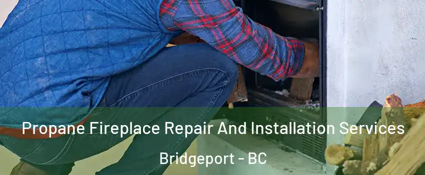  Propane Fireplace Repair And Installation Services Bridgeport - BC