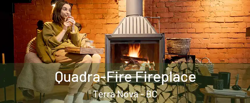  Quadra-Fire Fireplace Terra Nova - BC