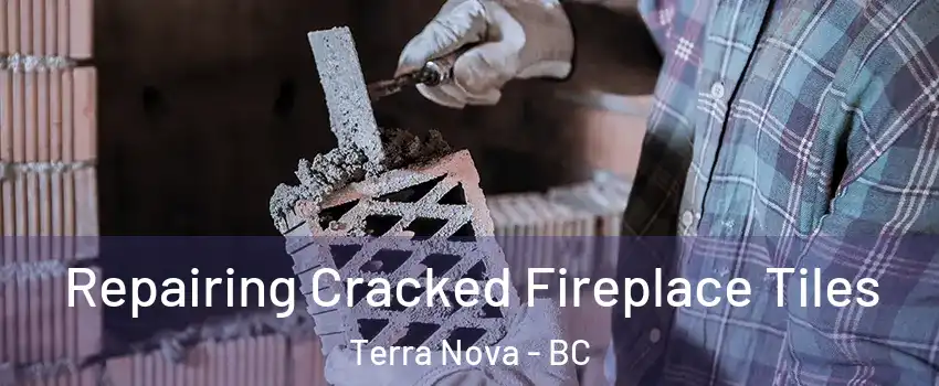  Repairing Cracked Fireplace Tiles Terra Nova - BC