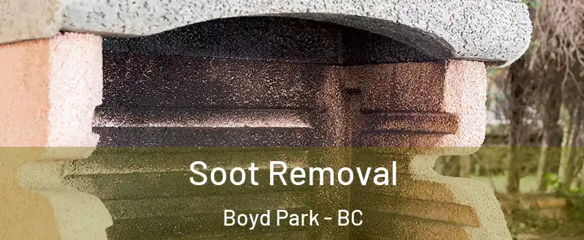 Soot Removal Boyd Park - BC