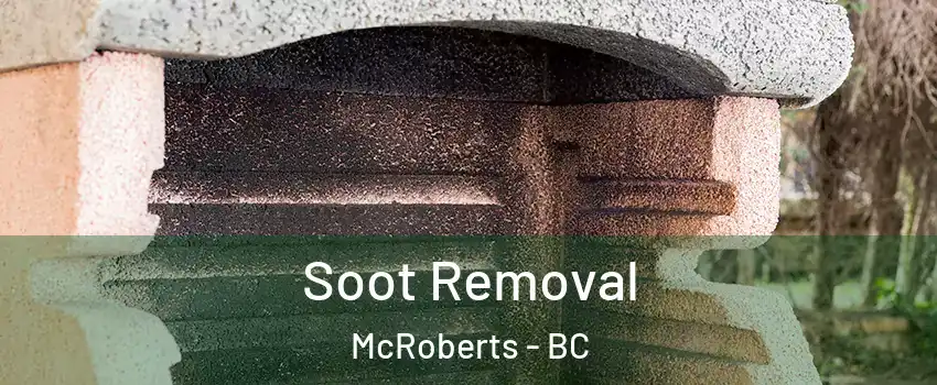  Soot Removal McRoberts - BC