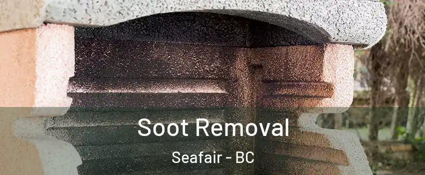  Soot Removal Seafair - BC