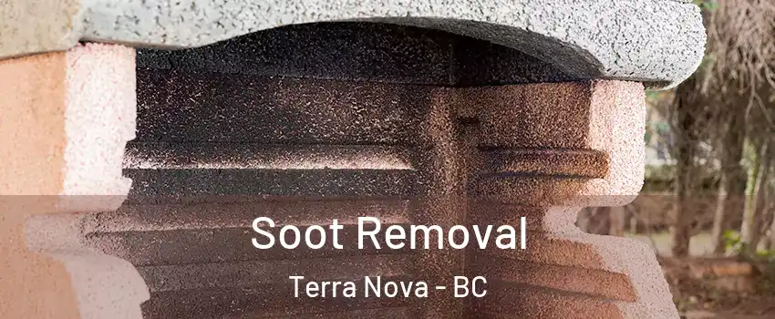  Soot Removal Terra Nova - BC