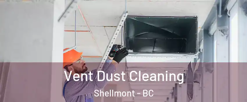  Vent Dust Cleaning Shellmont - BC