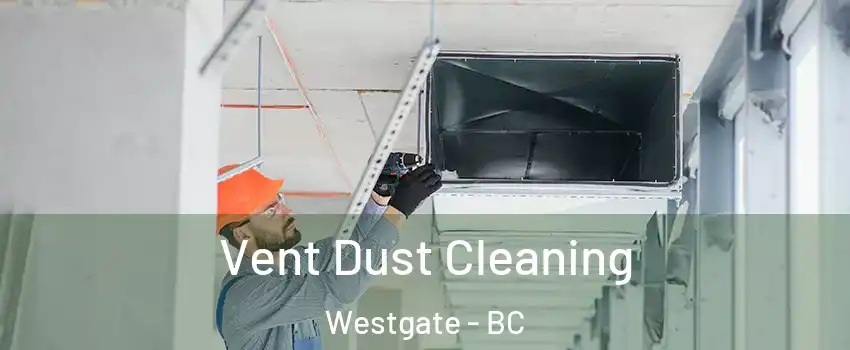  Vent Dust Cleaning Westgate - BC