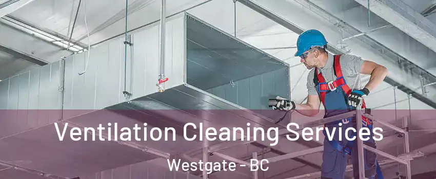  Ventilation Cleaning Services Westgate - BC