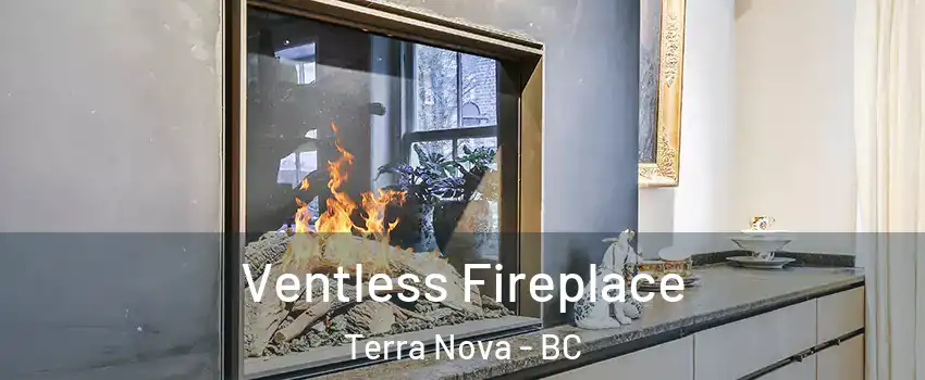  Ventless Fireplace Terra Nova - BC