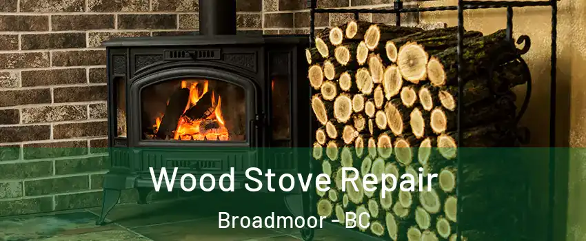  Wood Stove Repair Broadmoor - BC