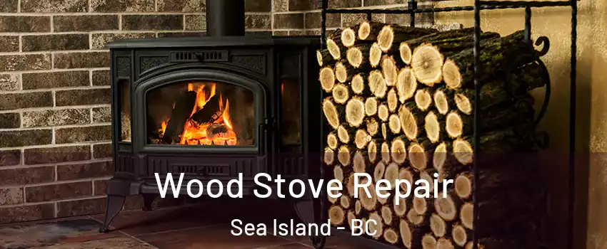  Wood Stove Repair Sea Island - BC