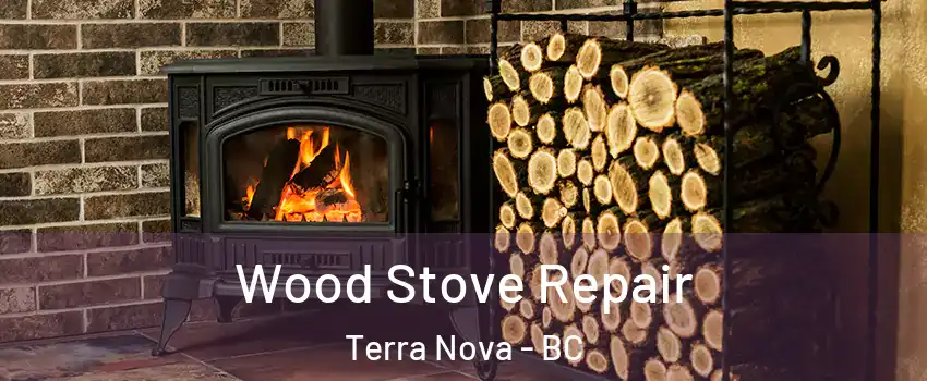  Wood Stove Repair Terra Nova - BC